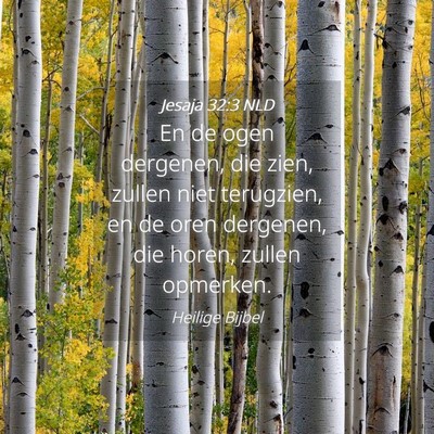 Picture 04 - Jesaja 32:3 NLD - En de ogen dergenen, die zien, zullen niet - Bible Verse Picture