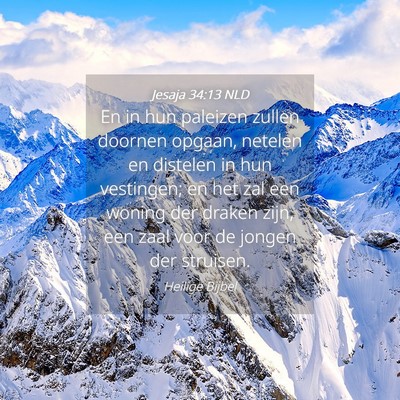 Picture 04 - Jesaja 34:13 NLD - En in hun paleizen zullen doornen opgaan, netelen - Bible Verse Picture