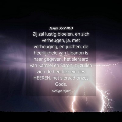 Picture 04 - Jesaja 35:2 NLD - Zij zal lustig bloeien, en zich verheugen, ja, - Bible Verse Picture