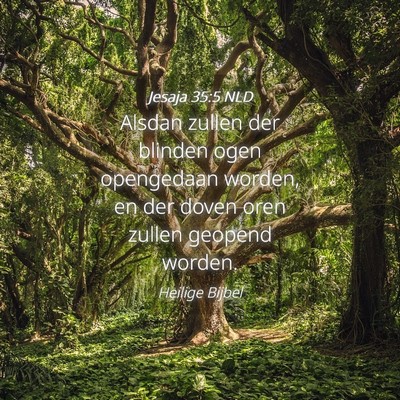 Picture 04 - Jesaja 35:5 NLD - Alsdan zullen der blinden ogen opengedaan worden, - Bible Verse Picture