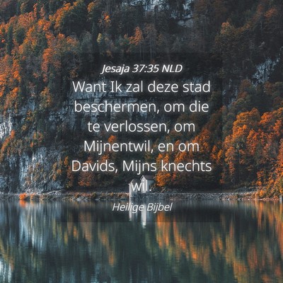 Picture 04 - Jesaja 37:35 NLD - Want Ik zal deze stad beschermen, om die te - Bible Verse Picture