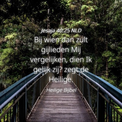 Picture 04 - Jesaja 40:25 NLD - Bij wien dan zult gijlieden Mij vergelijken, dien - Bible Verse Picture