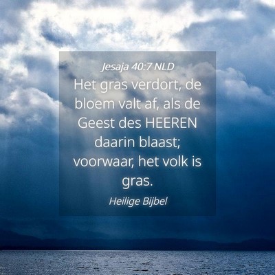 Picture 04 - Jesaja 40:7 NLD - Het gras verdort, de bloem valt af, als de Geest - Bible Verse Picture
