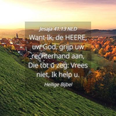 Picture 04 - Jesaja 41:13 NLD - Want Ik, de HEERE, uw God, grijp uw rechterhand - Bible Verse Picture