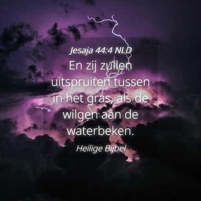 Picture 04 - Jesaja 44:4 NLD - En zij zullen uitspruiten tussen in het gras, als - Bible Verse Picture