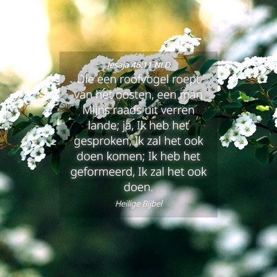 Picture 04 - Jesaja 46:11 NLD - Die een roofvogel roept van het oosten, een man - Bible Verse Picture
