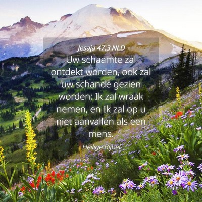 Picture 04 - Jesaja 47:3 NLD - Uw schaamte zal ontdekt worden, ook zal uw - Bible Verse Picture