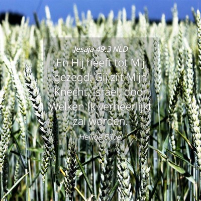 Picture 04 - Jesaja 49:3 NLD - En Hij heeft tot Mij gezegd: Gij zijt Mijn - Bible Verse Picture