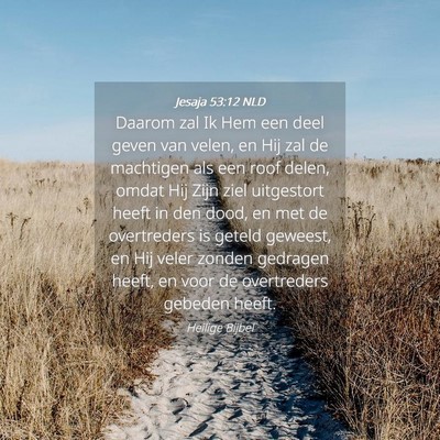 Picture 04 - Jesaja 53:12 NLD - Daarom zal Ik Hem een deel geven van velen, en - Bible Verse Picture