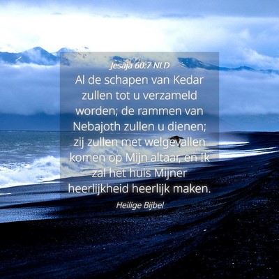 Picture 04 - Jesaja 60:7 NLD - Al de schapen van Kedar zullen tot u verzameld - Bible Verse Picture