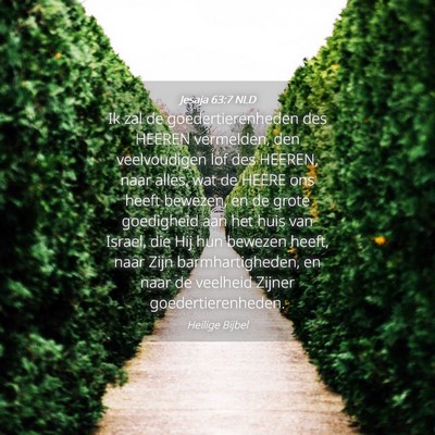 Picture 04 - Jesaja 63:7 NLD - Ik zal de goedertierenheden des HEEREN vermelden, - Bible Verse Picture