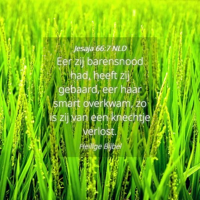 Picture 04 - Jesaja 66:7 NLD - Eer zij barensnood had, heeft zij gebaard, eer - Bible Verse Picture
