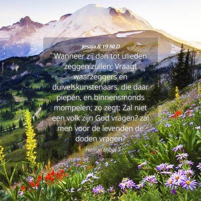 Picture 04 - Jesaja 8:19 NLD - Wanneer zij dan tot ulieden zeggen zullen: Vraagt - Bible Verse Picture