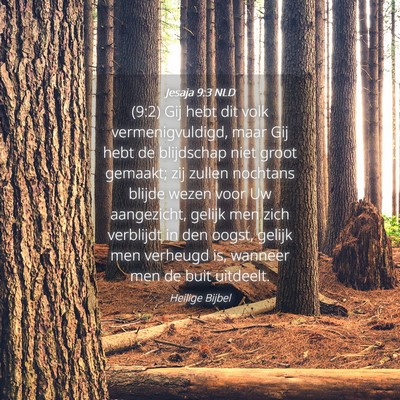 Picture 04 - Jesaja 9:3 NLD - (9:2) Gij hebt dit volk vermenigvuldigd, maar Gij - Bible Verse Picture