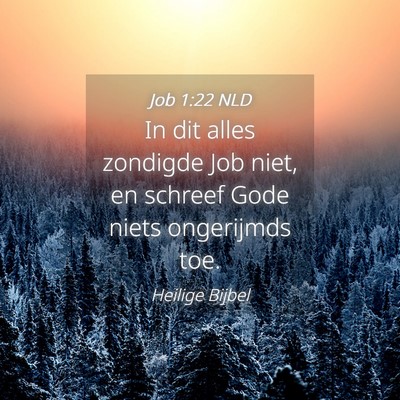 Picture 04 - Job 1:22 NLD - In dit alles zondigde Job niet, en schreef Gode - Bible Verse Picture