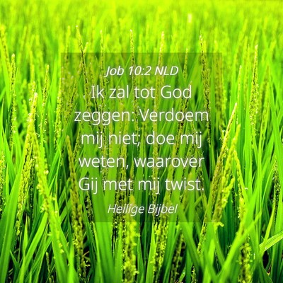 Picture 04 - Job 10:2 NLD - Ik zal tot God zeggen: Verdoem mij niet; doe mij - Bible Verse Picture