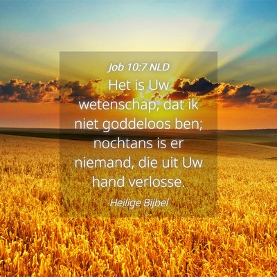 Picture 04 - Job 10:7 NLD - Het is Uw wetenschap, dat ik niet goddeloos ben; - Bible Verse Picture