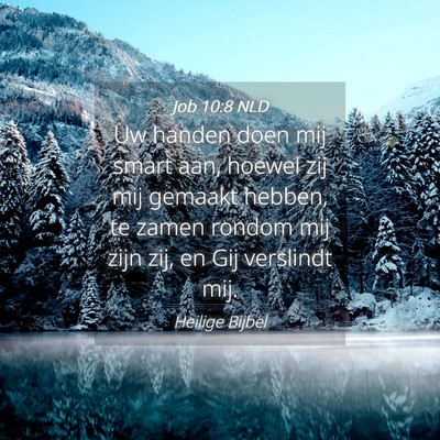Picture 04 - Job 10:8 NLD - Uw handen doen mij smart aan, hoewel zij mij - Bible Verse Picture