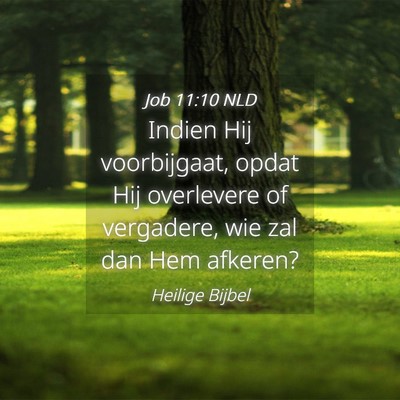 Picture 04 - Job 11:10 NLD - Indien Hij voorbijgaat, opdat Hij overlevere of - Bible Verse Picture