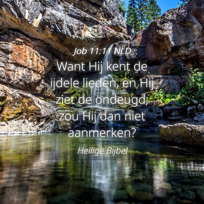 Picture 04 - Job 11:11 NLD - Want Hij kent de ijdele lieden, en Hij ziet de - Bible Verse Picture