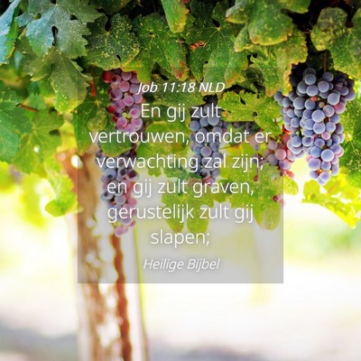 Picture 04 - Job 11:18 NLD - En gij zult vertrouwen, omdat er verwachting zal - Bible Verse Picture