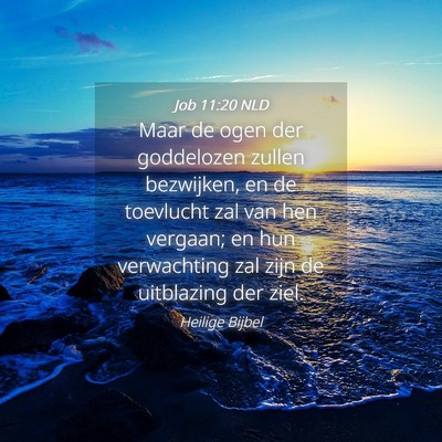 Picture 04 - Job 11:20 NLD - Maar de ogen der goddelozen zullen bezwijken, en - Bible Verse Picture