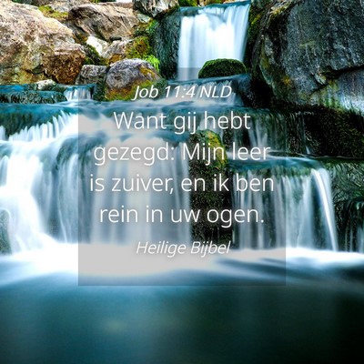 Picture 04 - Job 11:4 NLD - Want gij hebt gezegd: Mijn leer is zuiver, en ik - Bible Verse Picture