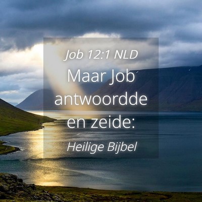 Picture 04 - Job 12:1 NLD - Maar Job antwoordde en - Bible Verse Picture