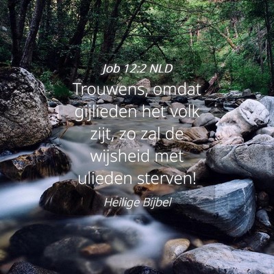 Picture 04 - Job 12:2 NLD - Trouwens, omdat gijlieden het volk zijt, zo zal - Bible Verse Picture