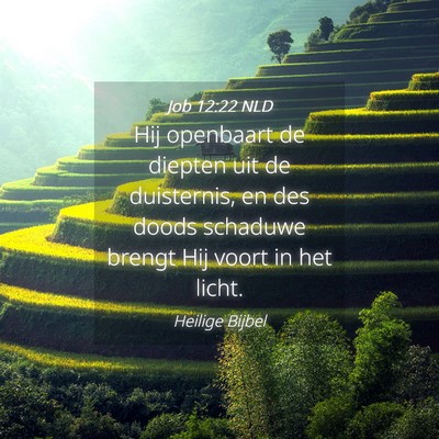Picture 04 - Job 12:22 NLD - Hij openbaart de diepten uit de duisternis, en - Bible Verse Picture
