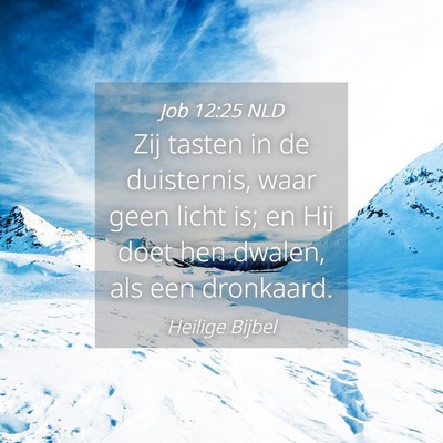 Picture 04 - Job 12:25 NLD - Zij tasten in de duisternis, waar geen licht is; - Bible Verse Picture