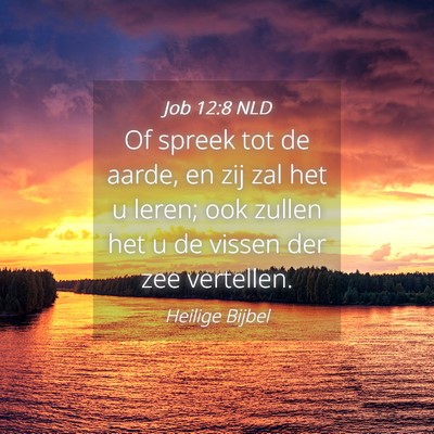 Picture 04 - Job 12:8 NLD - Of spreek tot de aarde, en zij zal het u leren; - Bible Verse Picture