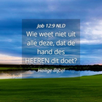 Picture 04 - Job 12:9 NLD - Wie weet niet uit alle deze, dat de hand des - Bible Verse Picture