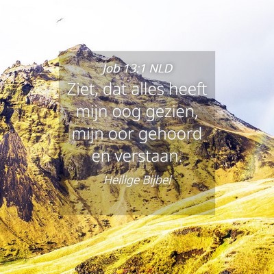 Picture 04 - Job 13:1 NLD - Ziet, dat alles heeft mijn oog gezien, mijn oor - Bible Verse Picture