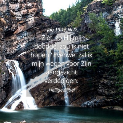 Picture 04 - Job 13:15 NLD - Ziet, zo Hij mij doodde, zou ik niet hopen? - Bible Verse Picture