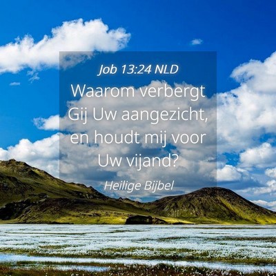 Picture 04 - Job 13:24 NLD - Waarom verbergt Gij Uw aangezicht, en houdt mij - Bible Verse Picture