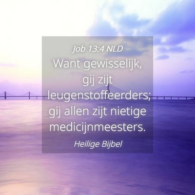 Picture 04 - Job 13:4 NLD - Want gewisselijk, gij zijt leugenstoffeerders; - Bible Verse Picture