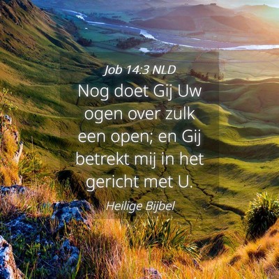 Picture 04 - Job 14:3 NLD - Nog doet Gij Uw ogen over zulk een open; en Gij - Bible Verse Picture