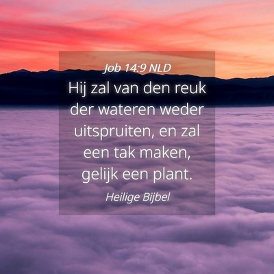 Picture 04 - Job 14:9 NLD - Hij zal van den reuk der wateren weder - Bible Verse Picture