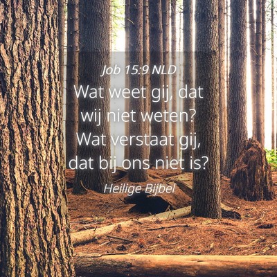 Picture 04 - Job 15:9 NLD - Wat weet gij, dat wij niet weten? Wat verstaat - Bible Verse Picture