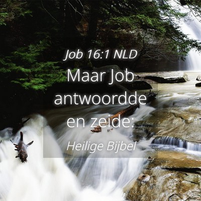 Picture 04 - Job 16:1 NLD - Maar Job antwoordde en - Bible Verse Picture