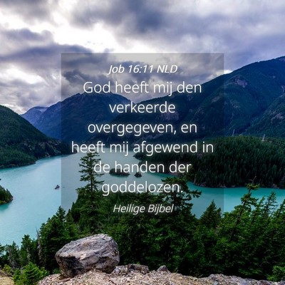 Picture 04 - Job 16:11 NLD - God heeft mij den verkeerde overgegeven, en heeft - Bible Verse Picture