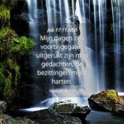 Picture 04 - Job 17:11 NLD - Mijn dagen zijn voorbijgegaan; uitgerukt zijn - Bible Verse Picture