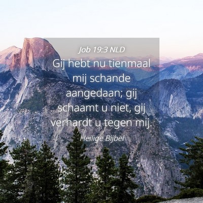 Picture 04 - Job 19:3 NLD - Gij hebt nu tienmaal mij schande aangedaan; gij - Bible Verse Picture