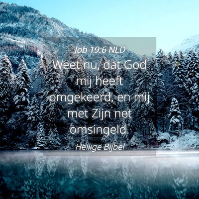 Picture 04 - Job 19:6 NLD - Weet nu, dat God mij heeft omgekeerd, en mij met - Bible Verse Picture