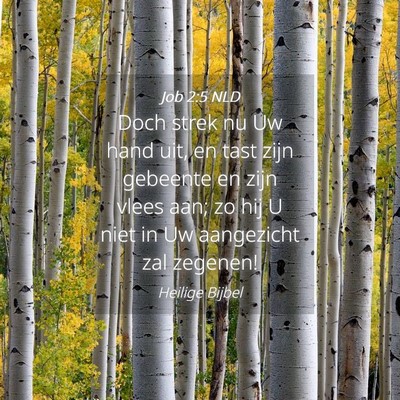 Picture 04 - Job 2:5 NLD - Doch strek nu Uw hand uit, en tast zijn gebeente - Bible Verse Picture