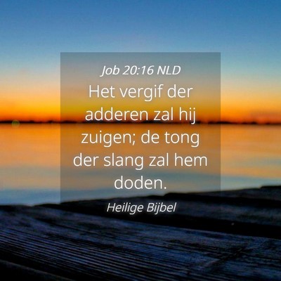 Picture 04 - Job 20:16 NLD - Het vergif der adderen zal hij zuigen; de tong - Bible Verse Picture
