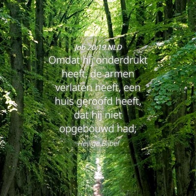 Picture 04 - Job 20:19 NLD - Omdat hij onderdrukt heeft, de armen verlaten - Bible Verse Picture
