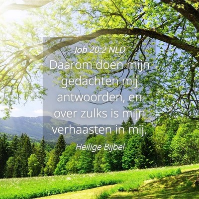 Picture 04 - Job 20:2 NLD - Daarom doen mijn gedachten mij antwoorden, en - Bible Verse Picture