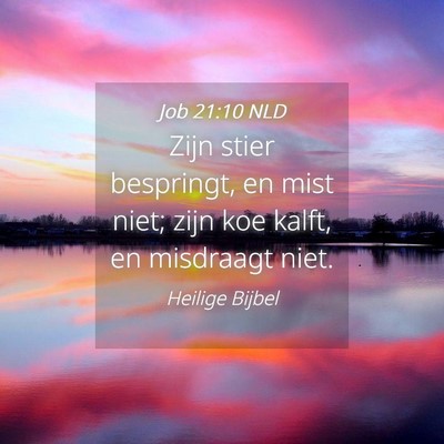 Picture 04 - Job 21:10 NLD - Zijn stier bespringt, en mist niet; zijn koe - Bible Verse Picture